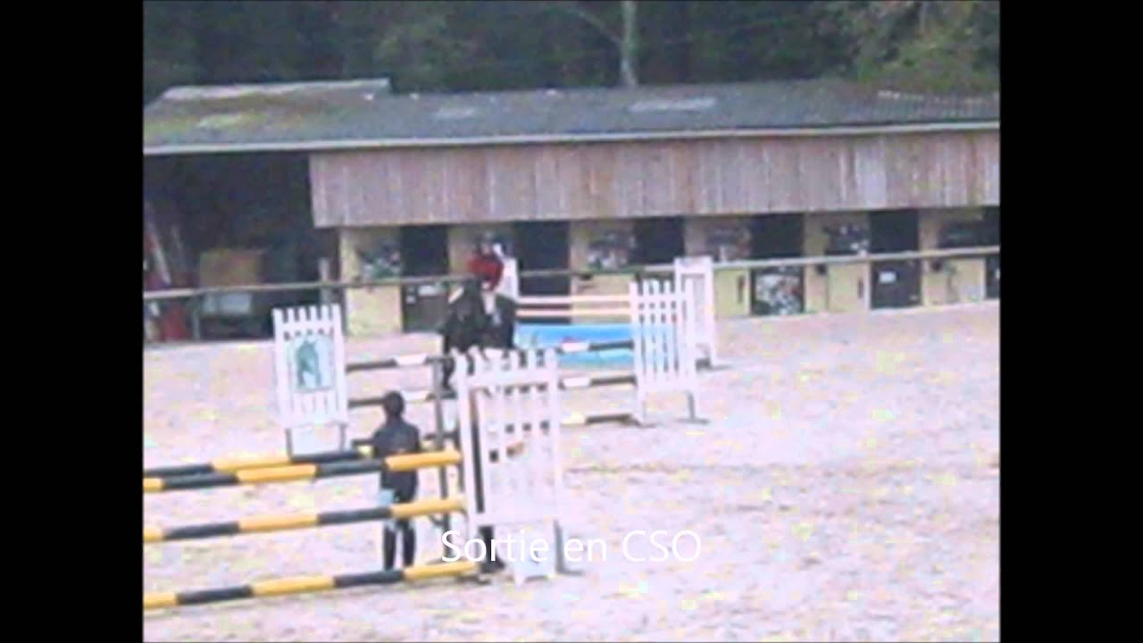 Services équestres à domicile ( 29,56,35,22 )