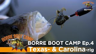 Borre Boot Camp - Ep.4 - Texas & Carolina-rig