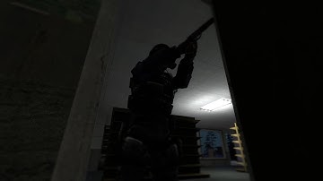 Project Z First Preview