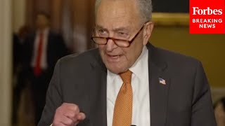 'What Does That Entail?': Chuck Schumer Asked How Dems Will 'Do Everything' To Oppose GOP Budget