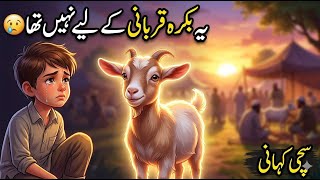 This Bakra Eid Cartoon Proves Love for Animals Is Everything | HD Animation
