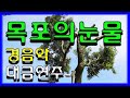 168. 광고없는 대금연주 남원 광한루원 힐링(전곡 노래제목 제공)트로트 메들리 가요 메들리 디스코 메들리 전자올겐 뽕짝 메들리 트럼펫연주 관광 메들리 즐감 하세요 #화물운송콜센터