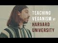 Harvard University Class on Veganism | Animals as Commodities