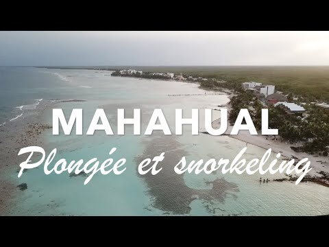 Vidéo: Comment visiter la barrière de corail mésoaméricaine du Mexique