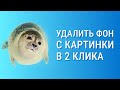 Как сделать png картинку? Kак убрать фон на фото на телефоне? Как удалить фон онлайн?