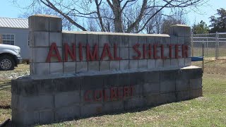 Lawsuit over seized miniature horse moves forward against Colbert Co. Animal Services