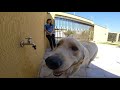 End of video