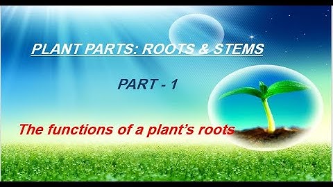 FUNCTIONS OF ROOTS