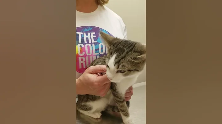 Lori follow up.  Her progress is amazing.