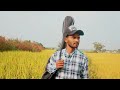 Jhimir Jhita Pani Barsay |  Sadri instrumental Cover Song || Mp3 Song