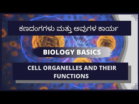 Cell Organelles And Their Functions in Kannada ( ಕಣದಂಗಗಳು ಮತ್ತು ಅವುಗಳ ಕಾರ್ಯ) 9th Biology