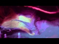 Miniature de la vidéo de la chanson All Night
