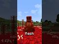 this mod turns your world into flesh...