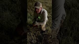 Every Hunting Influencer Ever #hunting #influencer #backfire #viralvideo
GEAR I LIKE
Hearing Protection: https://goaxil.com/pages/gs-extreme-affiliatte-special?rfsn=6403930.682a688
My favorite scopes (blog post) https://backfire.tv/scope
My favorite rifles (blog post) https://backfire.tv/best-hunting-rifle/
Above links, or the pages referenced, contain affiliate links. Commissions earned.
The Backfire Youtube Channel is owned and operated by Backfire LLC, a Utah limited liability company. Every Hunting Influencer Ever #hunting #influencer #backfire #viralvideo