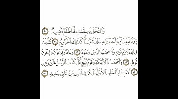سورة ق 3 القسم الثالث تكرار كيفي من .. والنخل باسقات لها طلع .. إلى .. من خلق جديد  #quran #قرآن