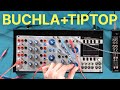Buchla  tiptop audio  classic noise  double oscillateur 258t et gnrateur de fonctions quadruple 281t