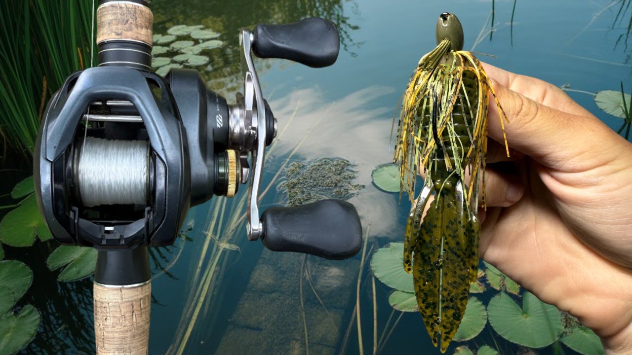 Fishing Shallow Docks for Big Late Summer Bass!