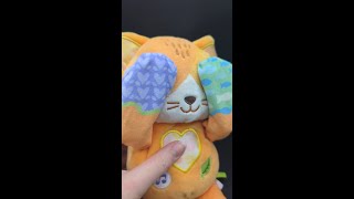 Peek-a-Boo Paws