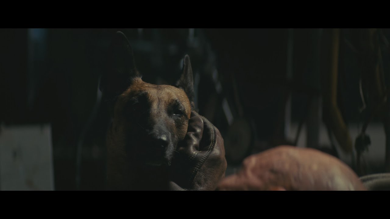 The Ghoul talking to Dogmeat [Fallout] SEASON 2 2160p