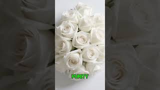 Do you know the MEANING of each color Roses ..?