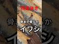 【四毒抜き】丸ごとガブっとイワシ