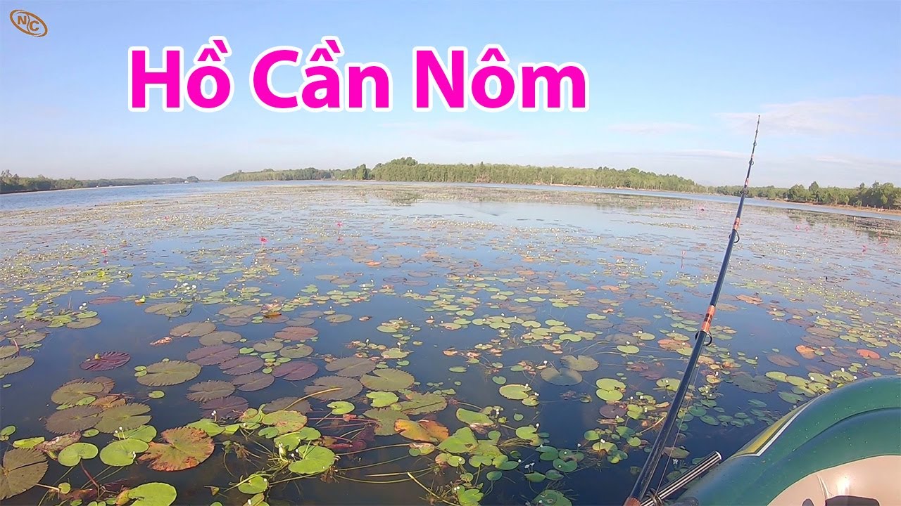 Bơi thuyền ra câu cá lóc hồ Cần Nôm
