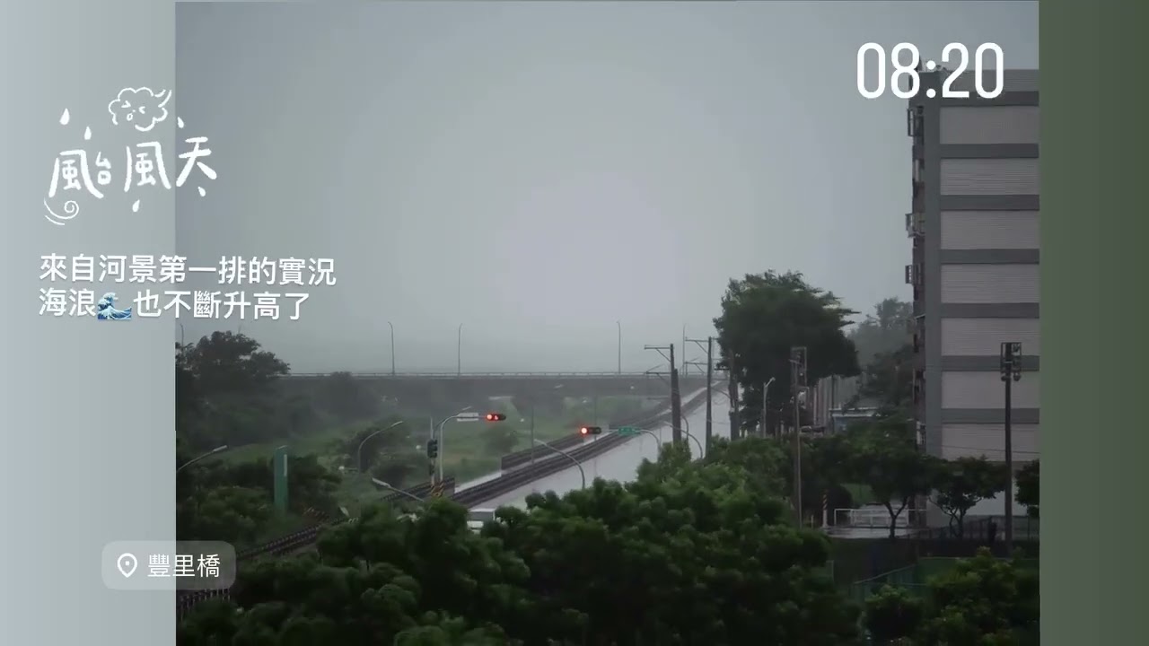 Typhoon Podul Winds Rustle Trees in Taitung City