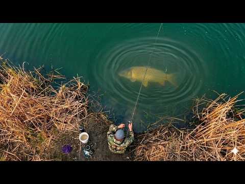 ​ Я ЭТО ЗАПОМНЮ БОРЬБА ДО ПОСЛЕДНЕГО! рыбалка на удочку ловля сазан и карася