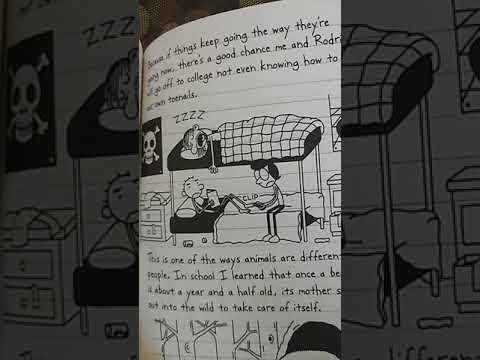 I Found A Mistake In Diary Of A Wimpy Kid