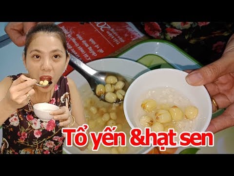 TỔ YẾN HẠT SEN CHƯNG ĐƯỜNG PHÈN MÓN NGON BỔ DƯỠNG|Tôi là người Bến Tre
