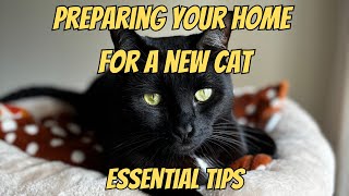 Essential Cat Tips