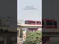 No Need Caption