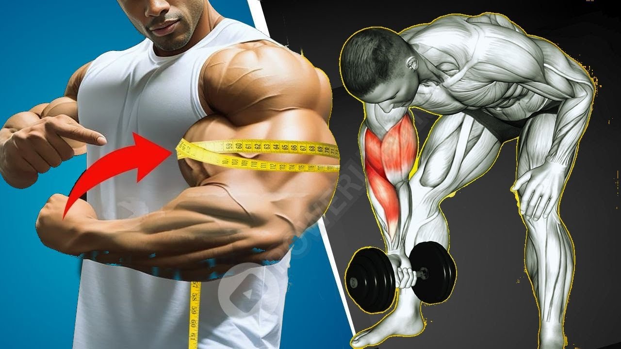 6 Quick Effective Biceps Exercises for Massive Arms - Bicep Workout at ...