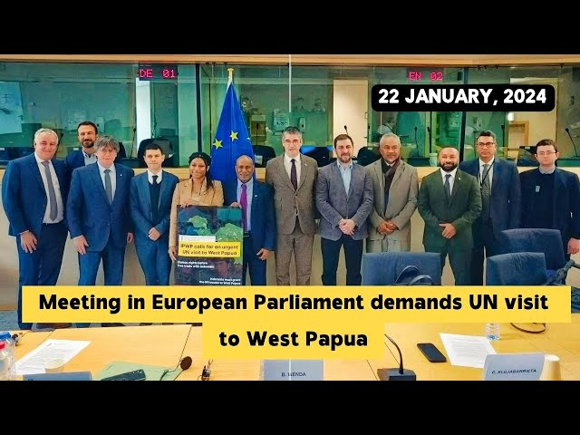 Meeting in European Parliament demands UN visit to West Papua | 22 January 2024 class=