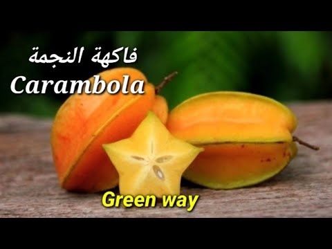 فاكهة النجمة الاستوائية كرامبولا| Star fruit |فوائد وتحذيرات هامة #فواكه غريبة!! (2) - YouTube