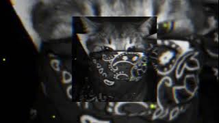 MC MAGRINHO | MC GW - VEM DE PLUG ( VERSAO SLOWED)