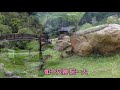 明知已經無緣 明知已經無緣