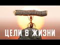 КАК СТАВИТЬ ЦЕЛИ И КАК ИХ ВООБЩЕ ДОСТИГАТЬ ?