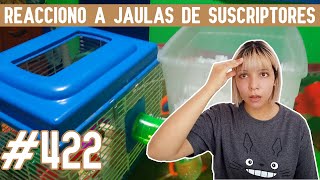 REACCIONO a JAULAS para HAMSTER de SUSCRIPTORES