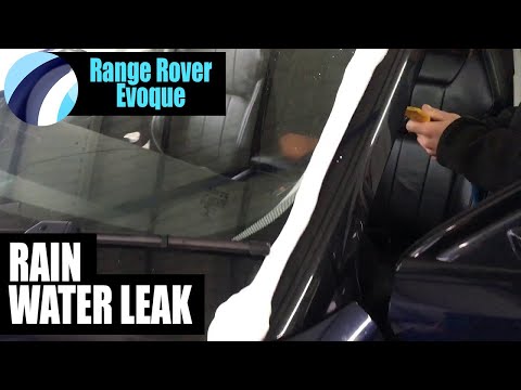 Car Water Leak Repair Specialist Near Me