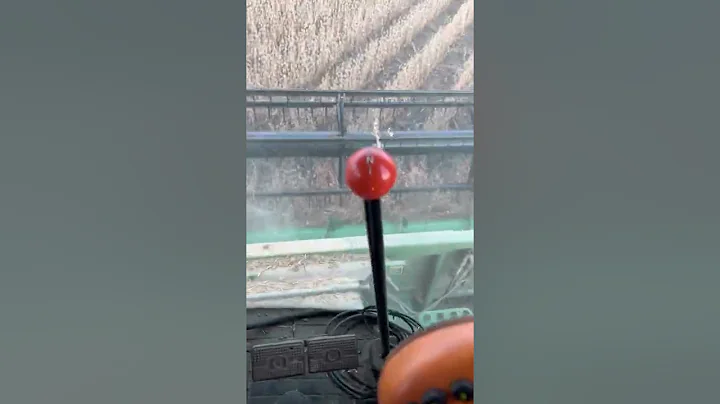 Beans Beans Beans