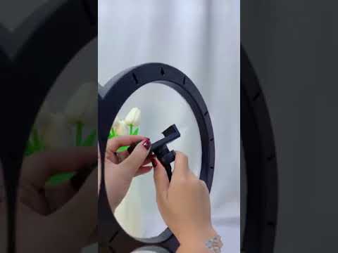 Ring Fill Light