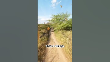 essa palavra vai ti fortalecer #palavraquesalva #deusnuncafalha #videoshort #reflexão #reflexao
