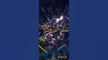 #سورة_الاحزاب #quran #قرآن_كريم #المصحف #اكسبلور #لايك #khouatriatarak