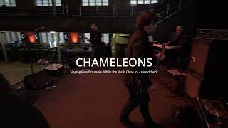 Watch Chameleons Singing Rule Britannia while The Walls Close In video
