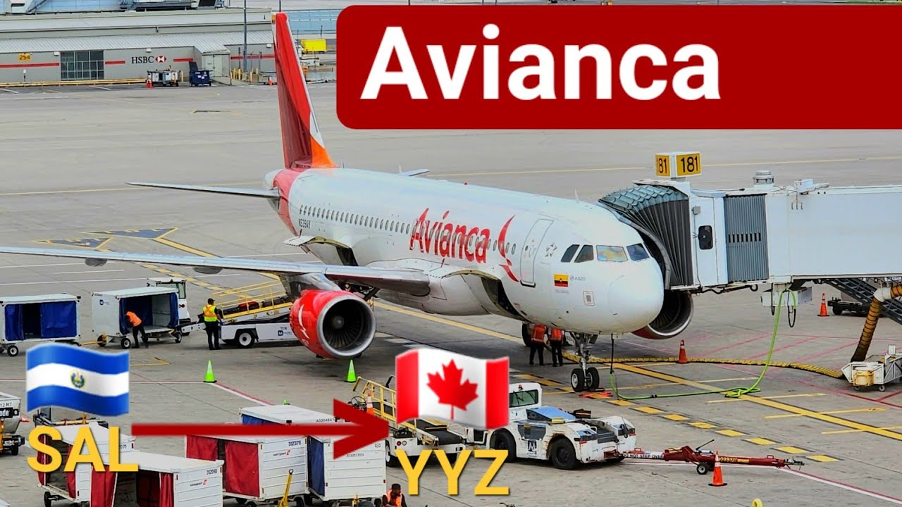 Avianca A320 Premium Seats Trip report | San Salvador (SAL) - Toronto(YYZ) |4K|