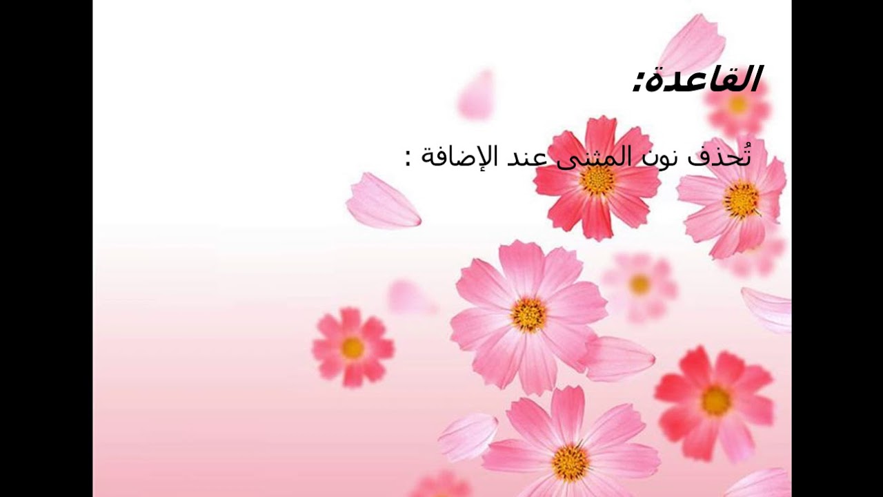 حذف نون المثنى للأستاذة أسماء صلاح