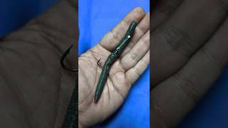 Tutorial on How to Attach a Hook to Bait #shorts #fishing