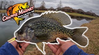 Catching BIG Crappie in Warming March Weather (Pond Crappie Fishing Vlog)
