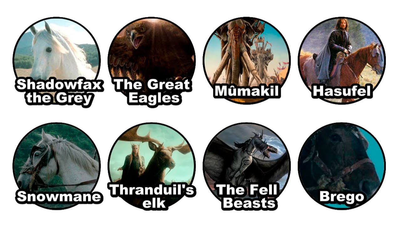 Every POWERFUL Mount in Middle-Earth EXPLAINED in Detail